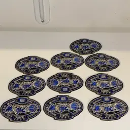 Lot Of 10 Magic NBA Orlando Patches