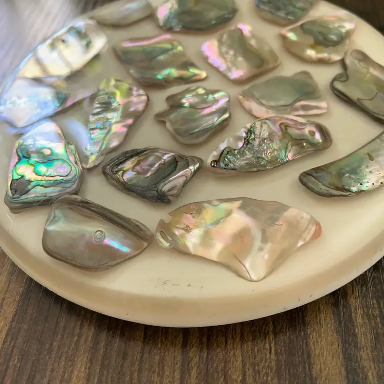 Vintage Lucite And Abalone Shell 6 inch Trivet White