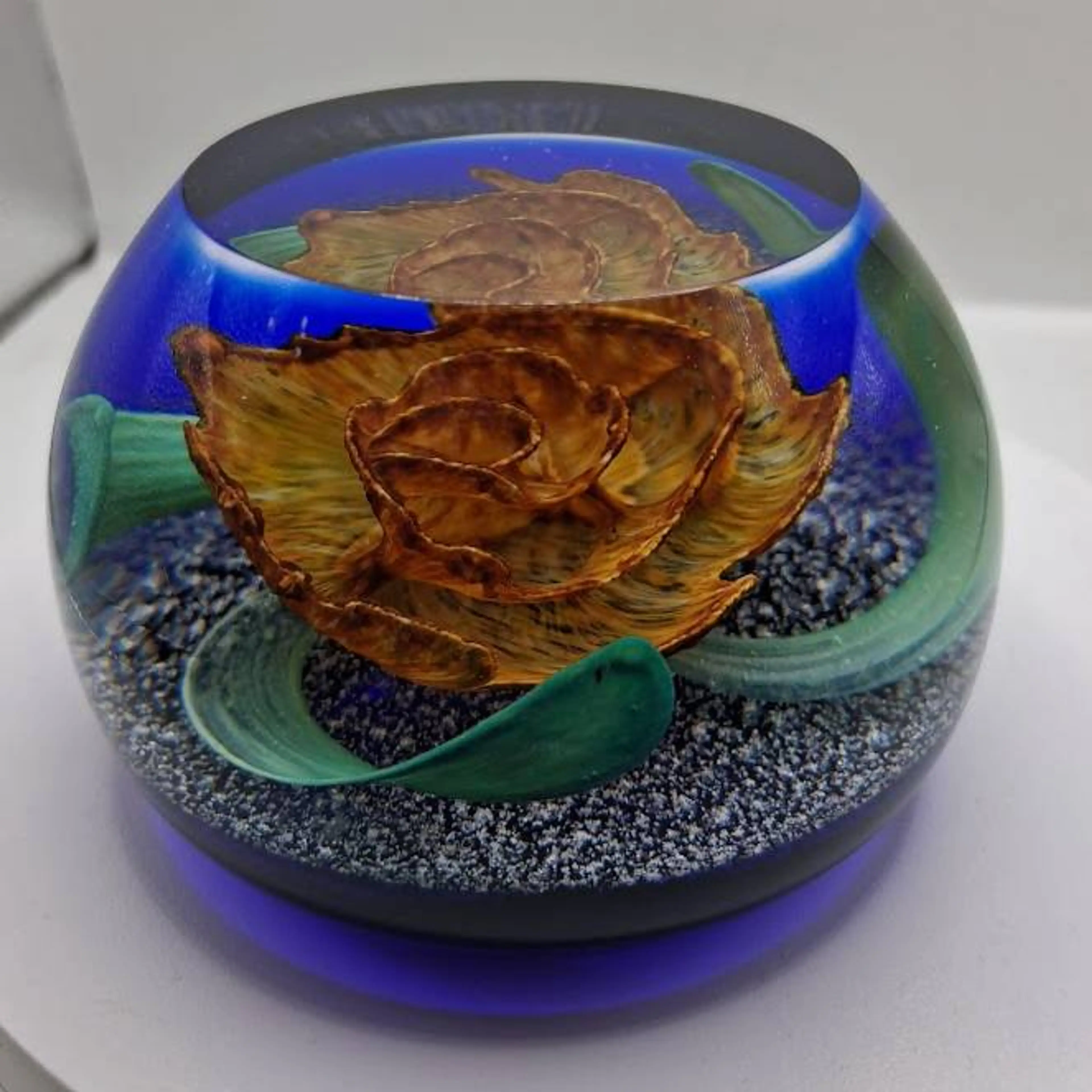Image 1 of 11