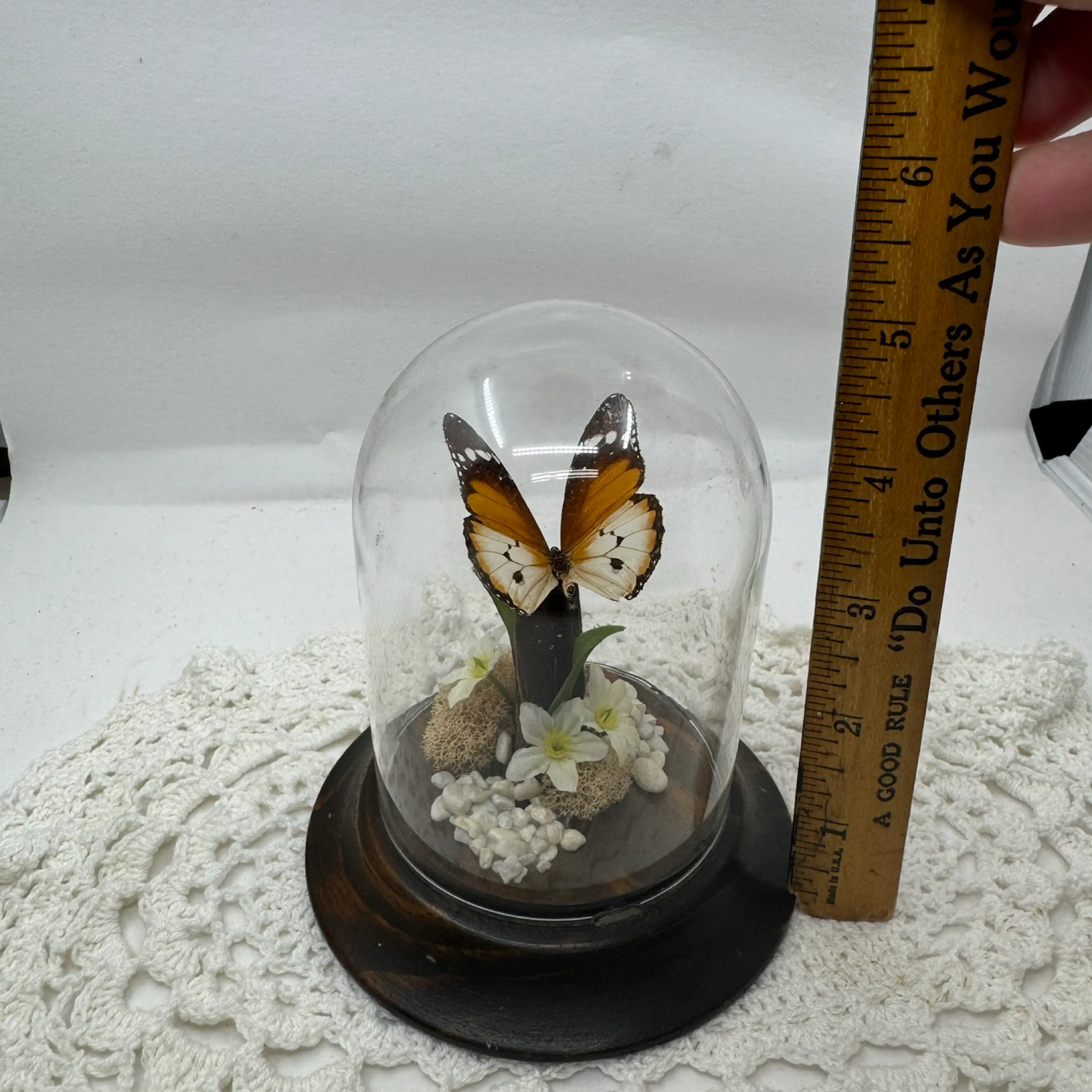 Image 2 of 4