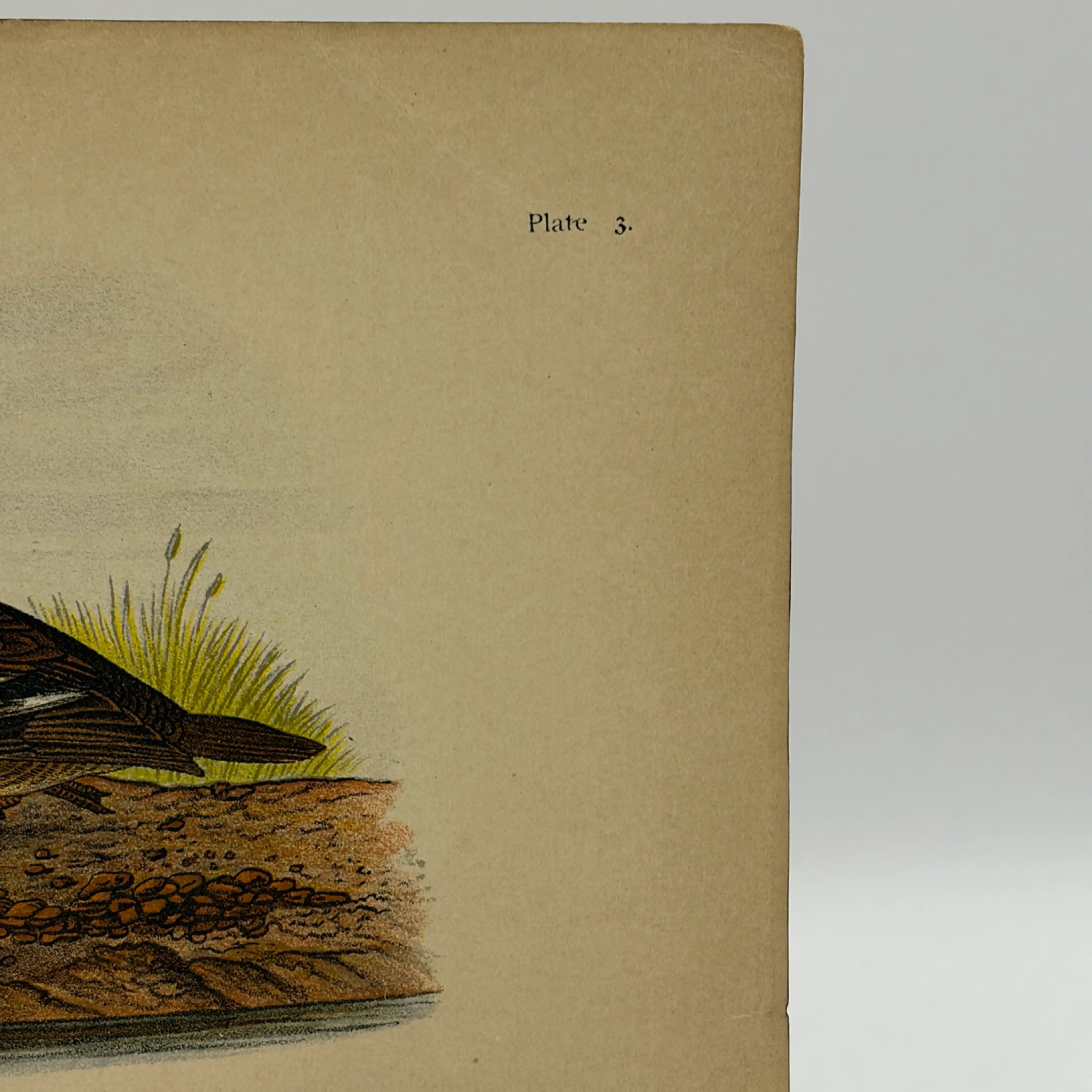 Image 3 of 9