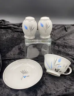 Salt & Pepper Shakers w/Cup and Plate, Fine China, Bavaria, Germany, Arlington