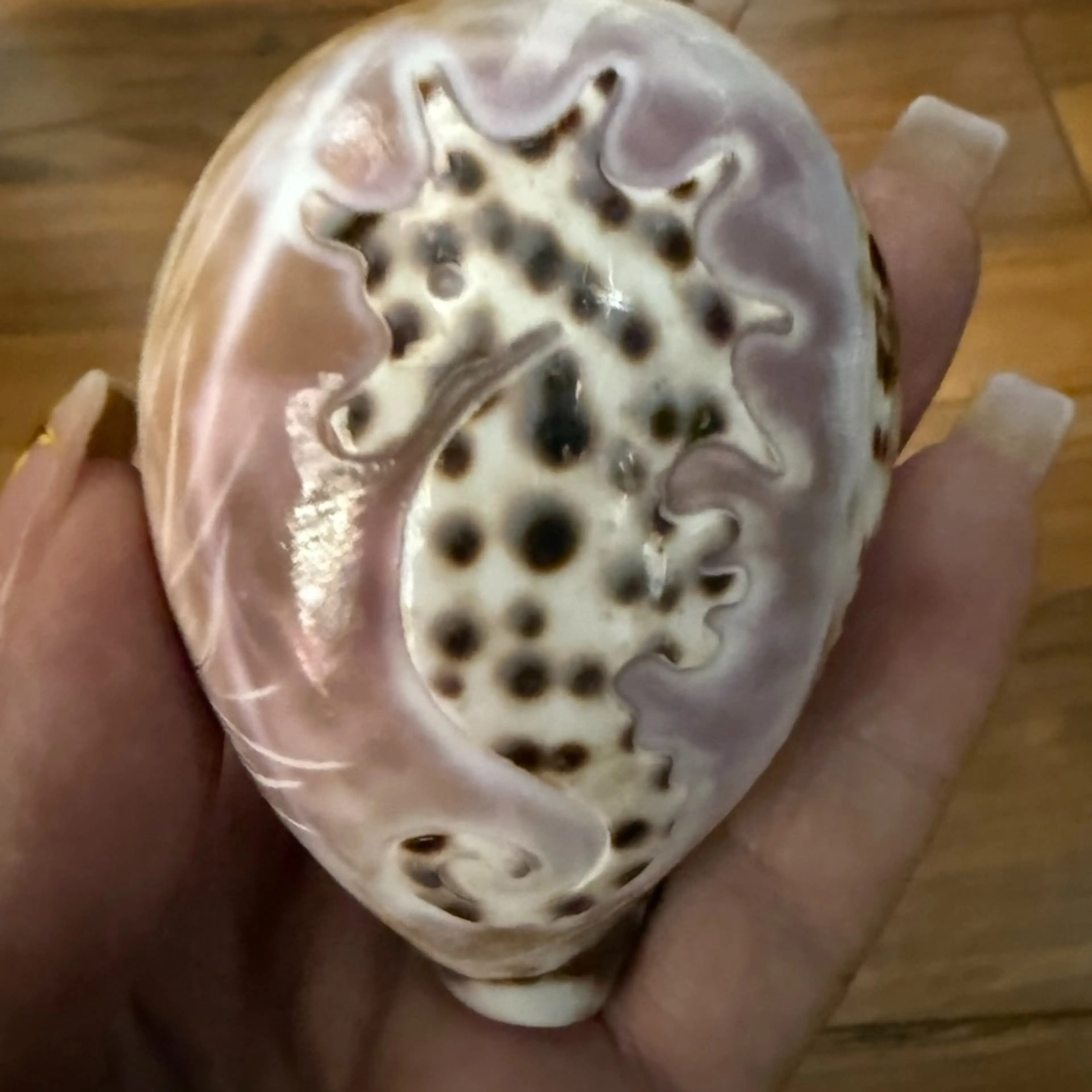 Image 3 of 5