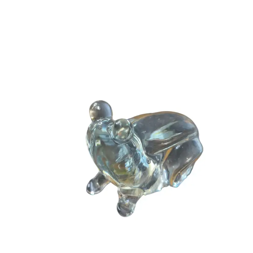 Clear Glass Frog