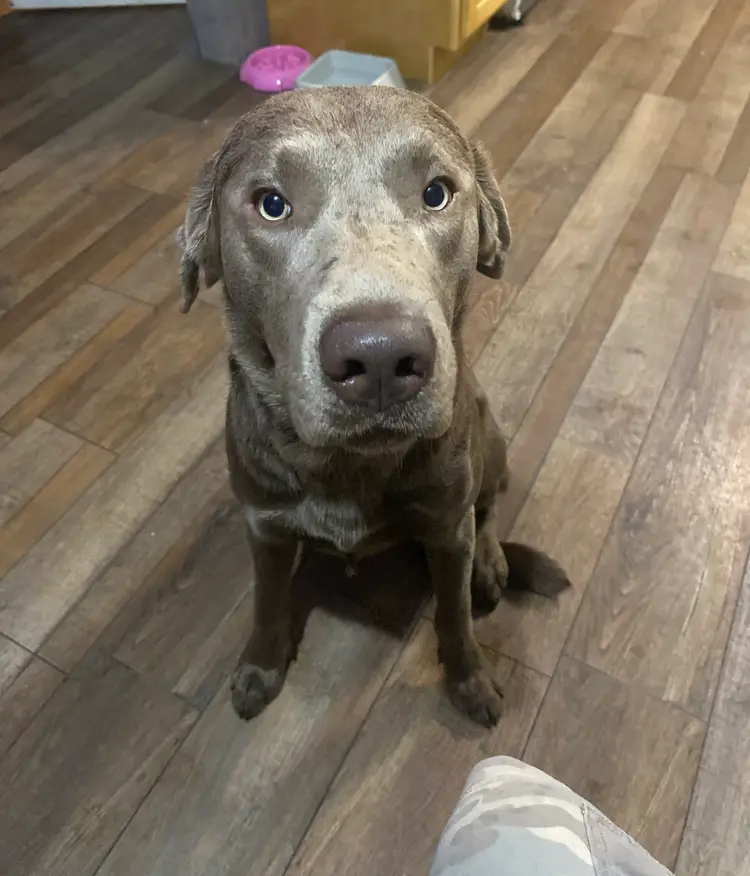 Lots Of Video Games  And Much More