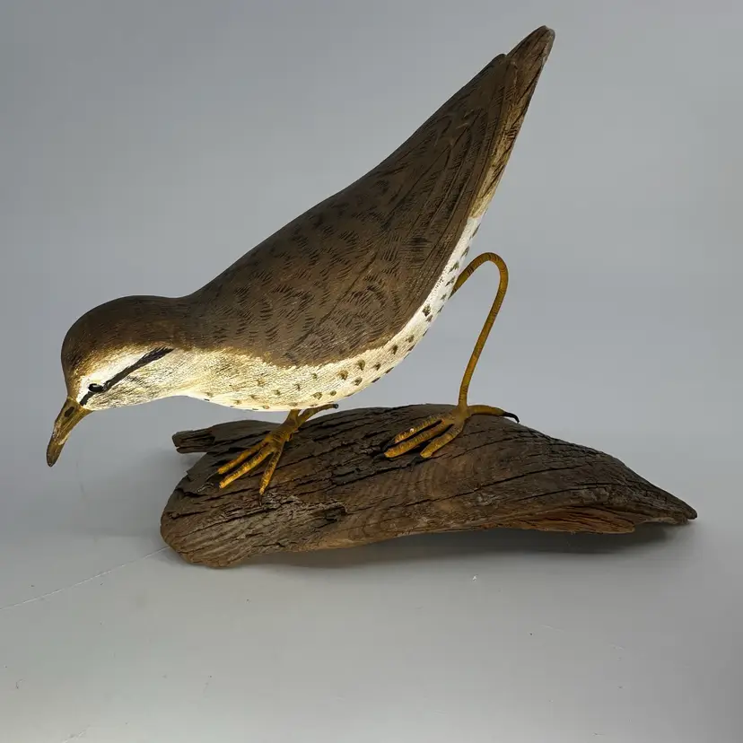 Wooden Sandpiper on Driftwood 7.5” A