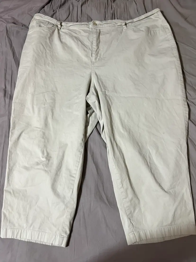 Women’s Size 22 Covington Stretch Pants