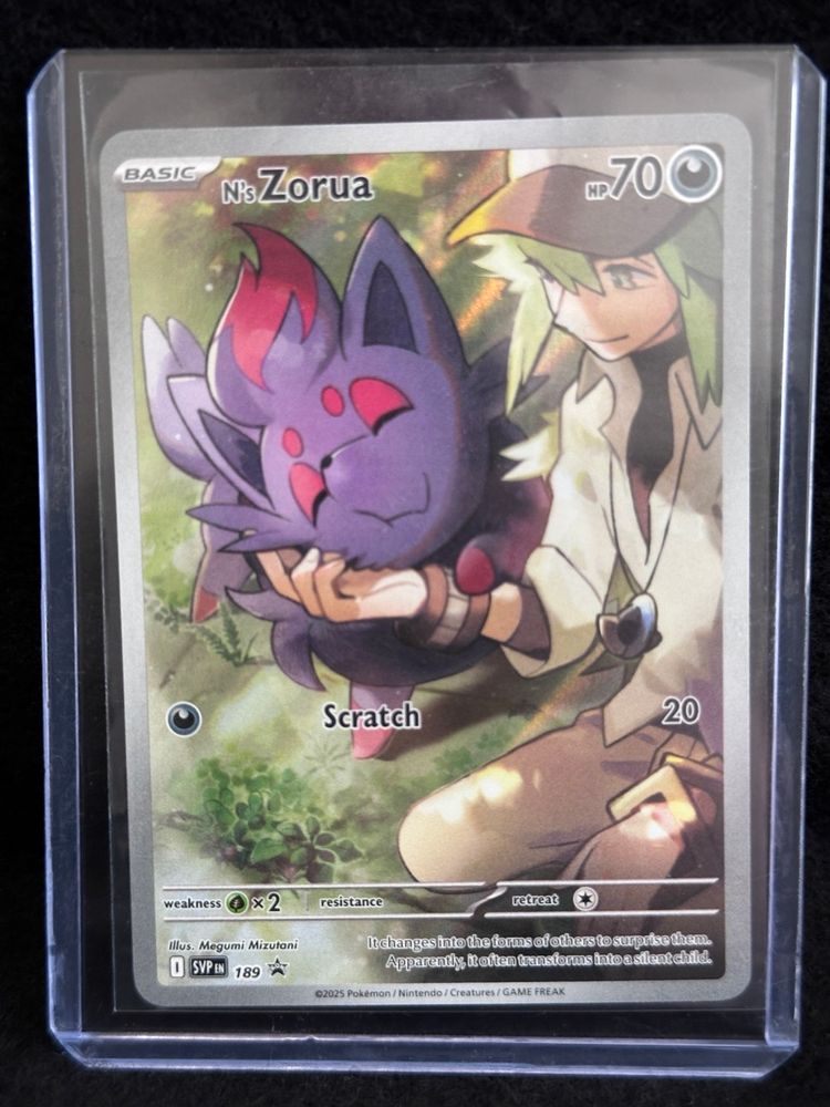 N's Zorua Scarlet & Violet Promo