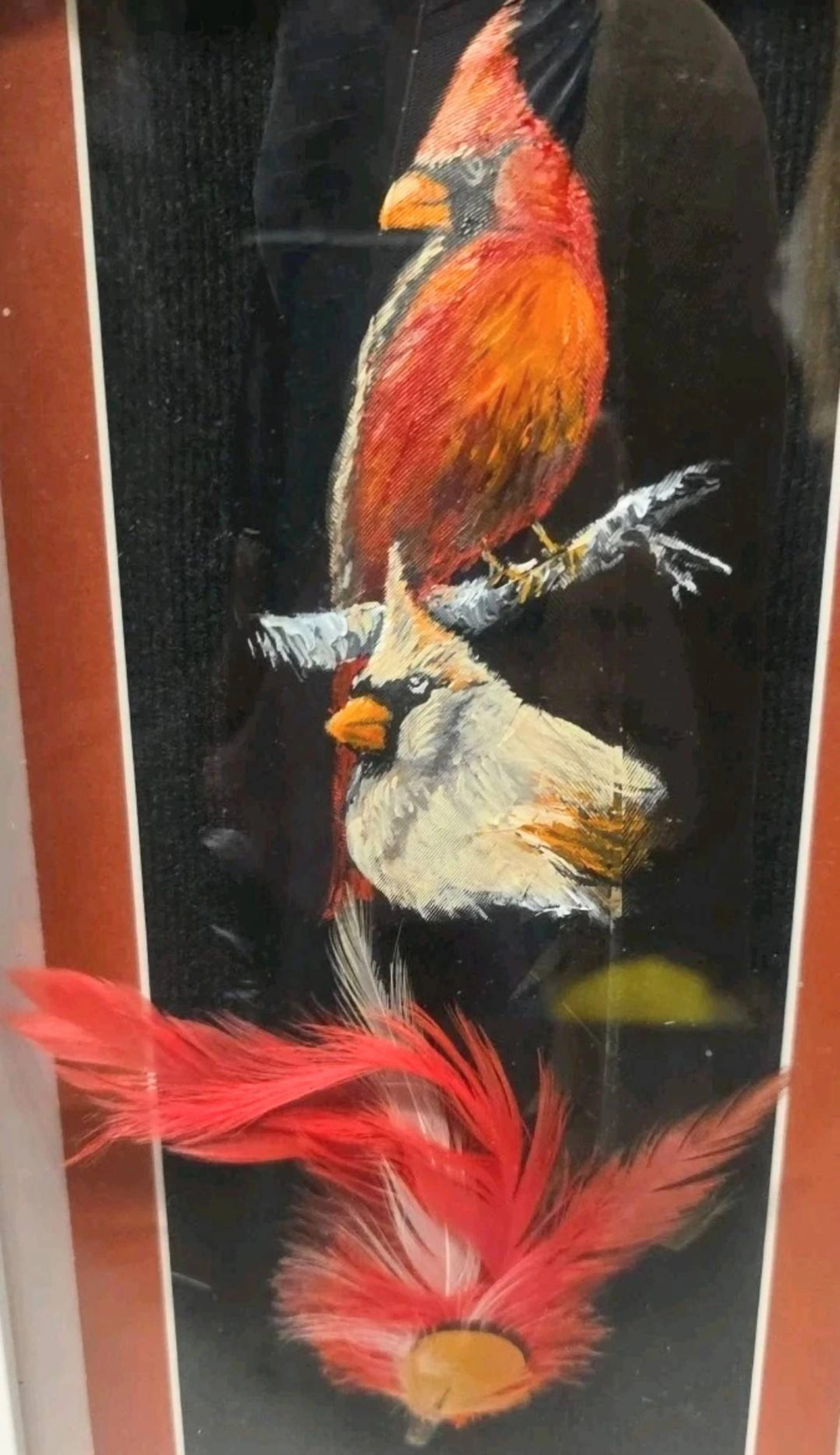 Image 2 of 5