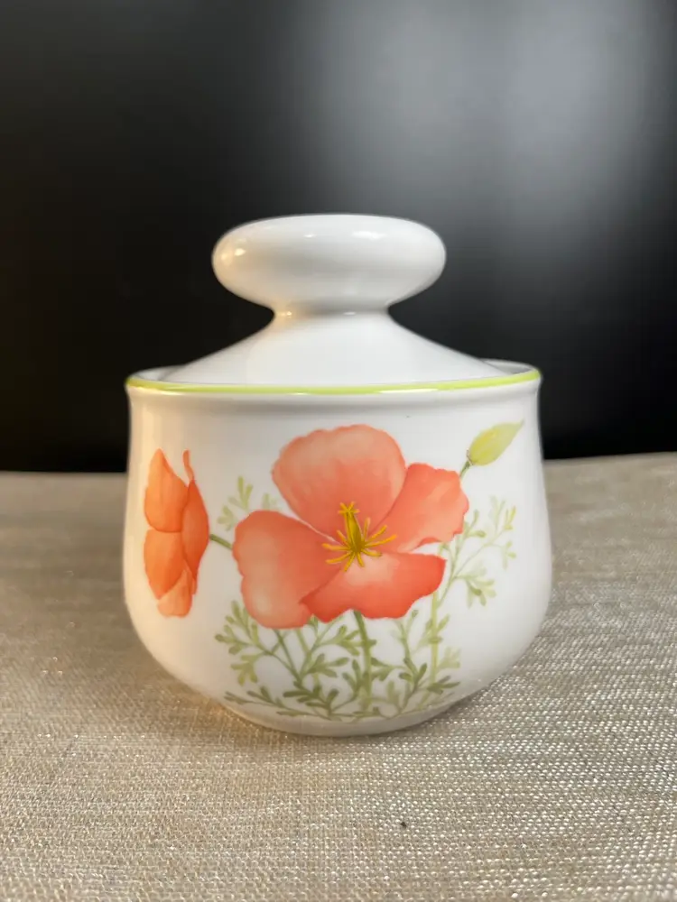 Noritake-Progression Series China-"Bright Side"-Features Poppies