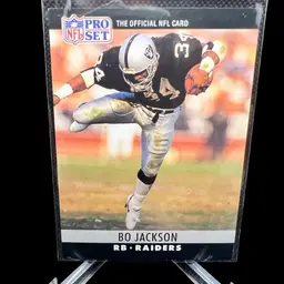 1990 NFL Pro Set
Bo Jackson
Las Vegas Raiders