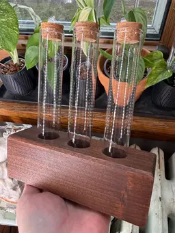 0015 Wooden Propagation Station - Black Walnut 6”