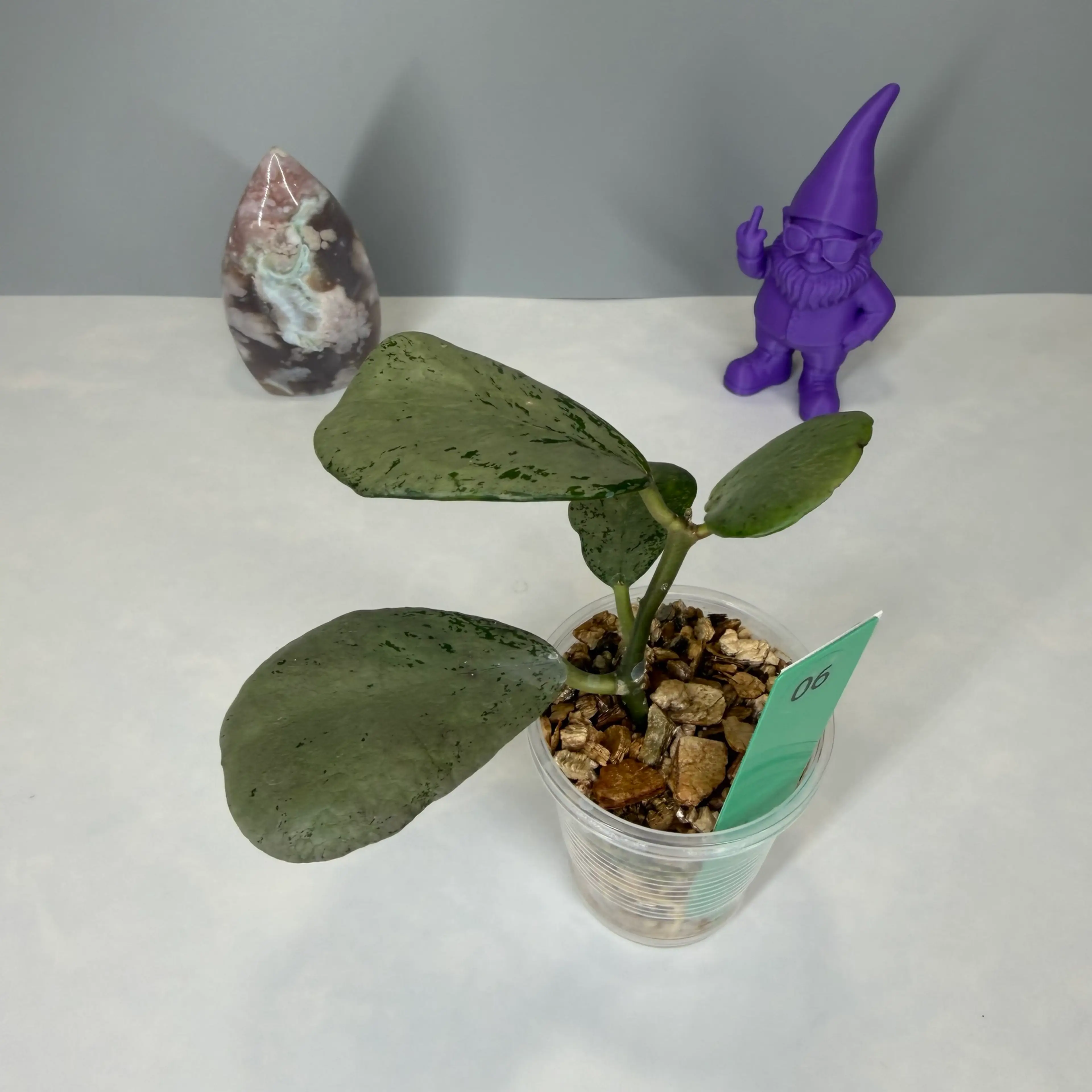 Image 3 of 3