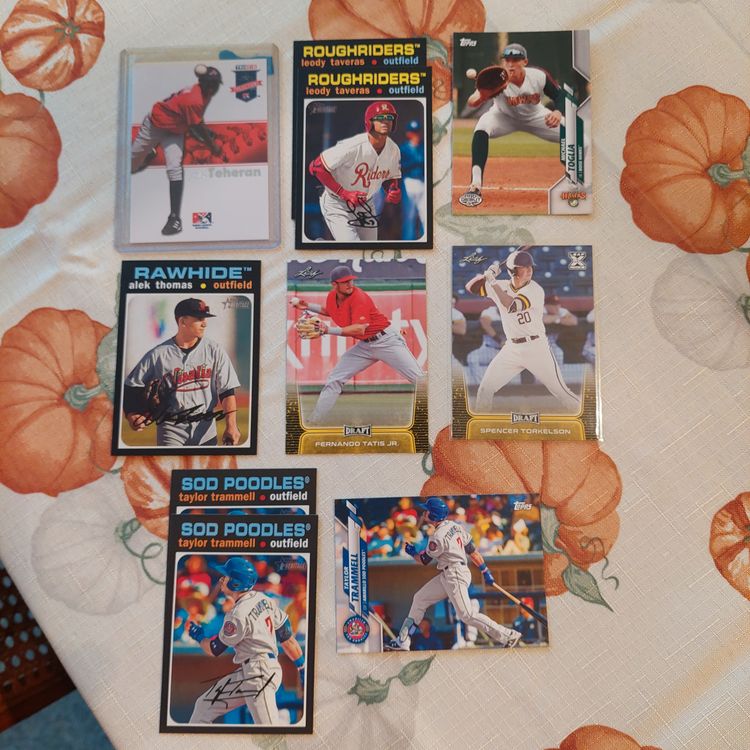 Lot of 21 Baseball minor league / college cards. Inserts +. Letter T.