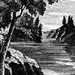 blackcreekcuriousgoods