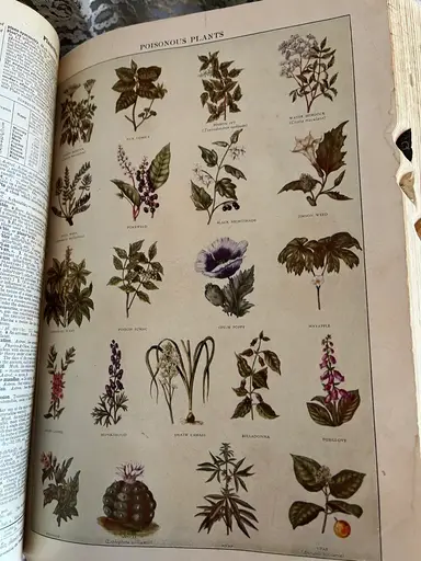 Help Me Clear The Shelves Clearance Sale!