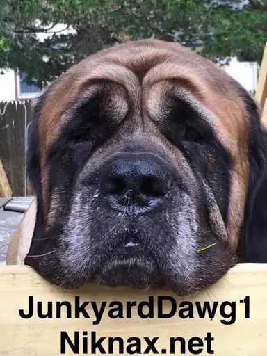 Easter Items Clearance