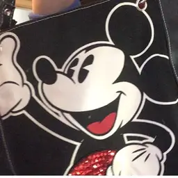 Disney Bag