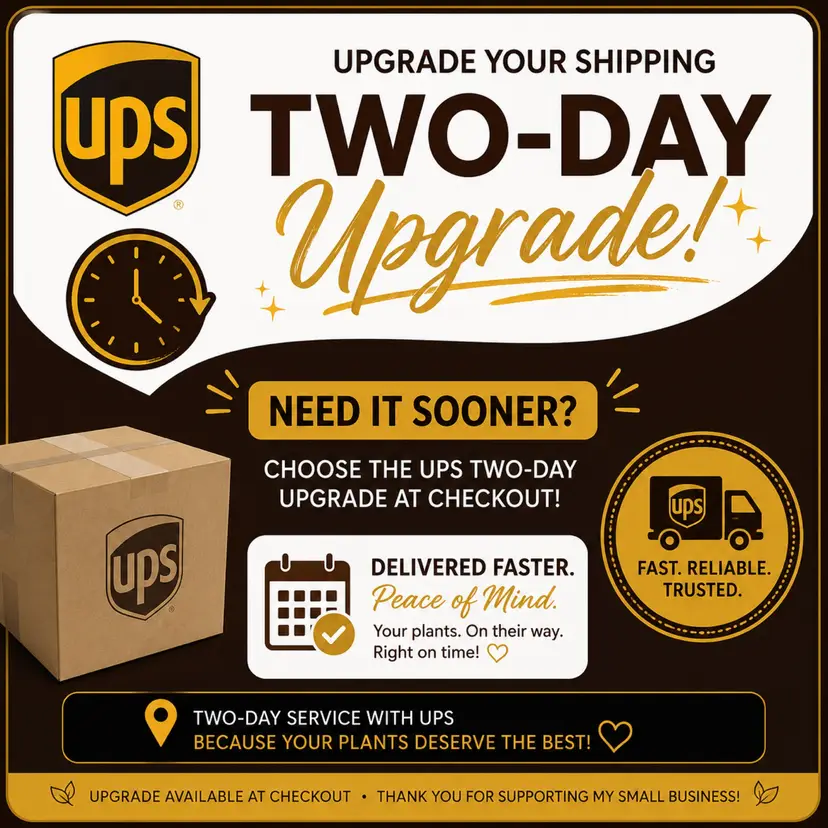 UPS 2 day