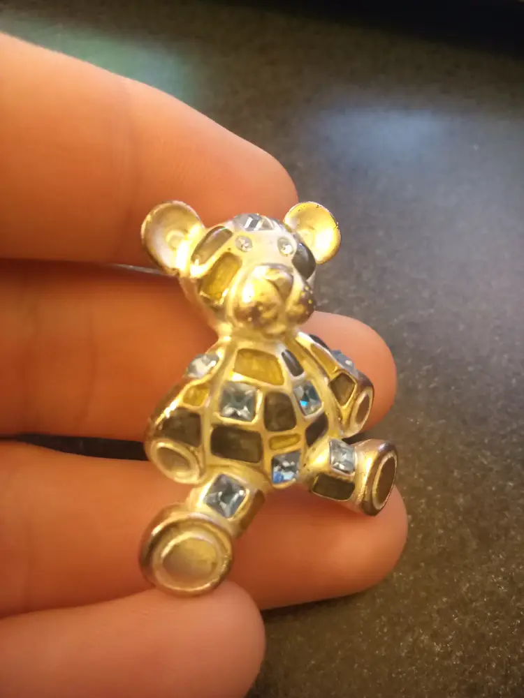 Teddy bear brooch.