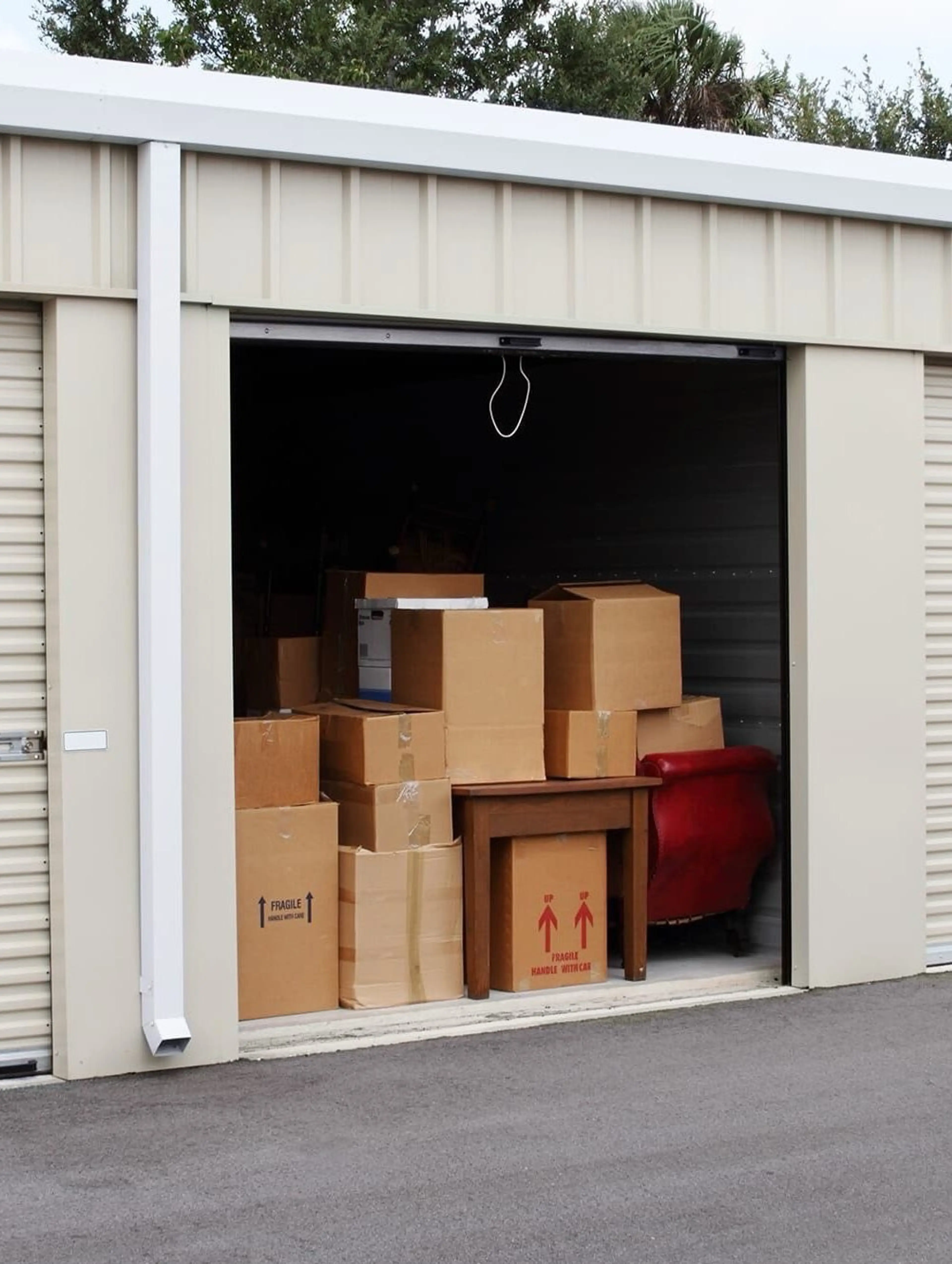 LIVE from Our Storage FULL of Collectibles & Items 