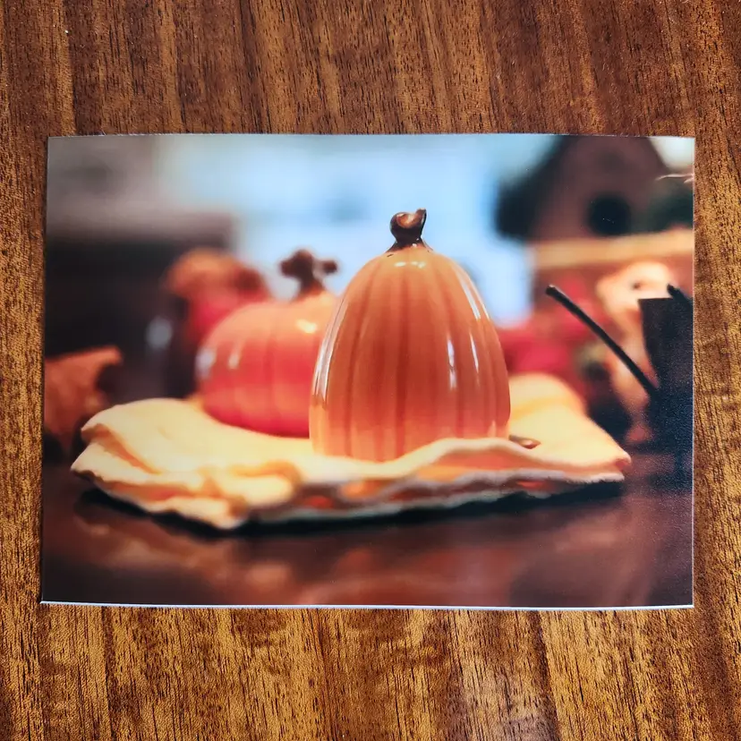 Photograph Of Ceramic Pumpkins 5x7