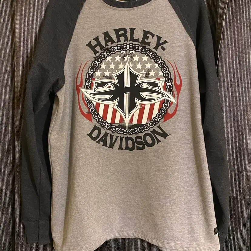 Harley-Davidson Men's Size Large Gray Lightweight Sweatshirt