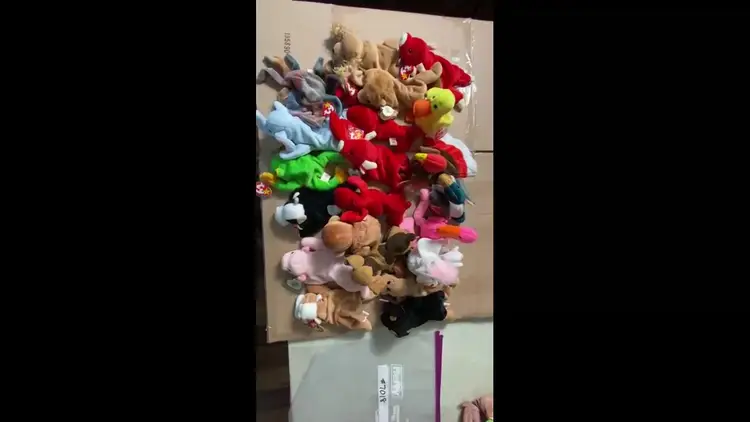 21 Beanie Babies Collectible Lot - #7018