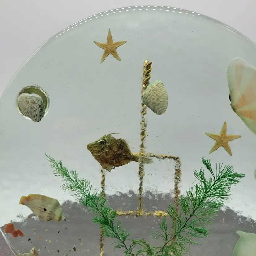 LUCITE Vintage Sealife Trivet from the 1970s. LARGE 8" x 1" thick. Excellent Vintage Condition.