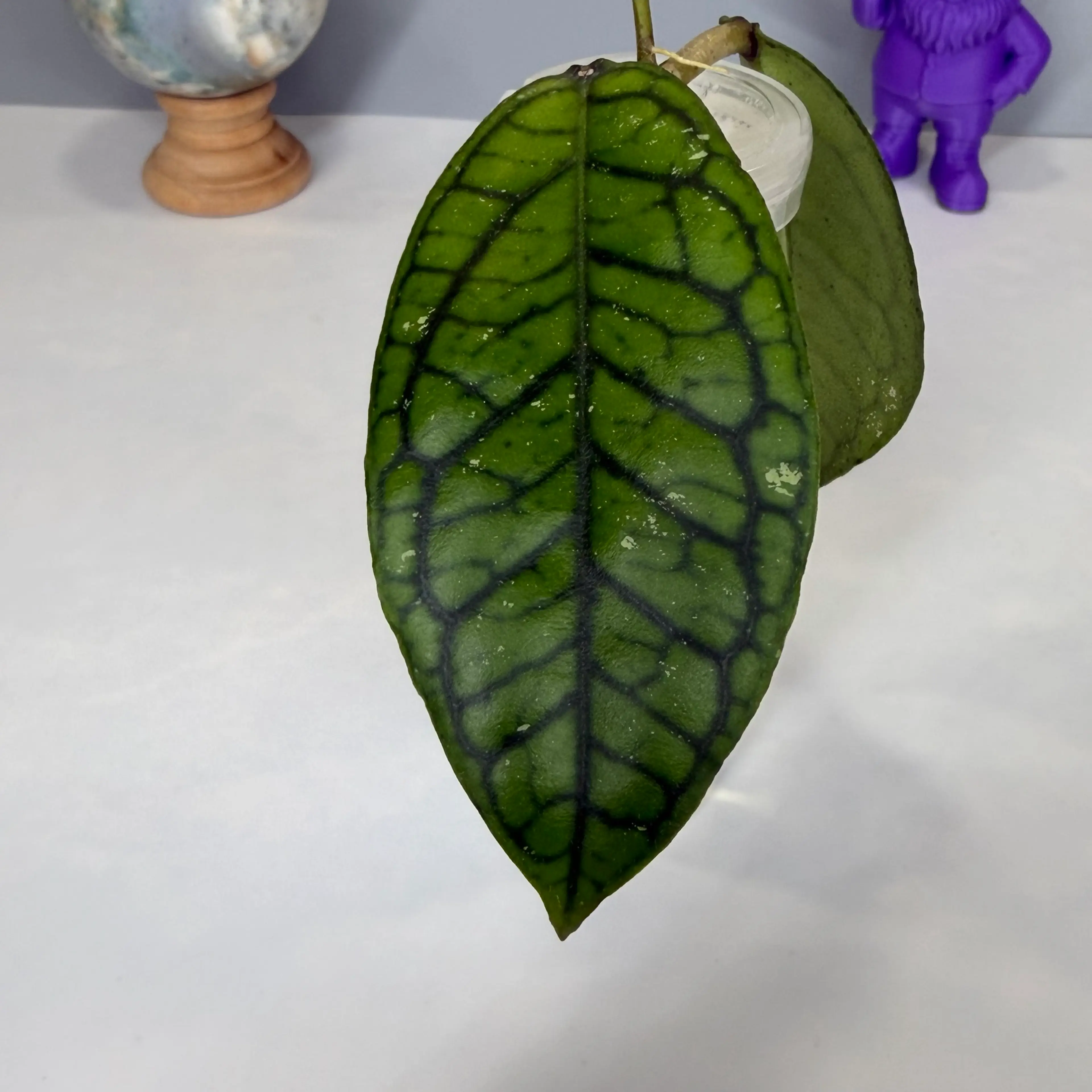 Image 4 of 4