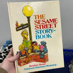 Sesame Street Story Book