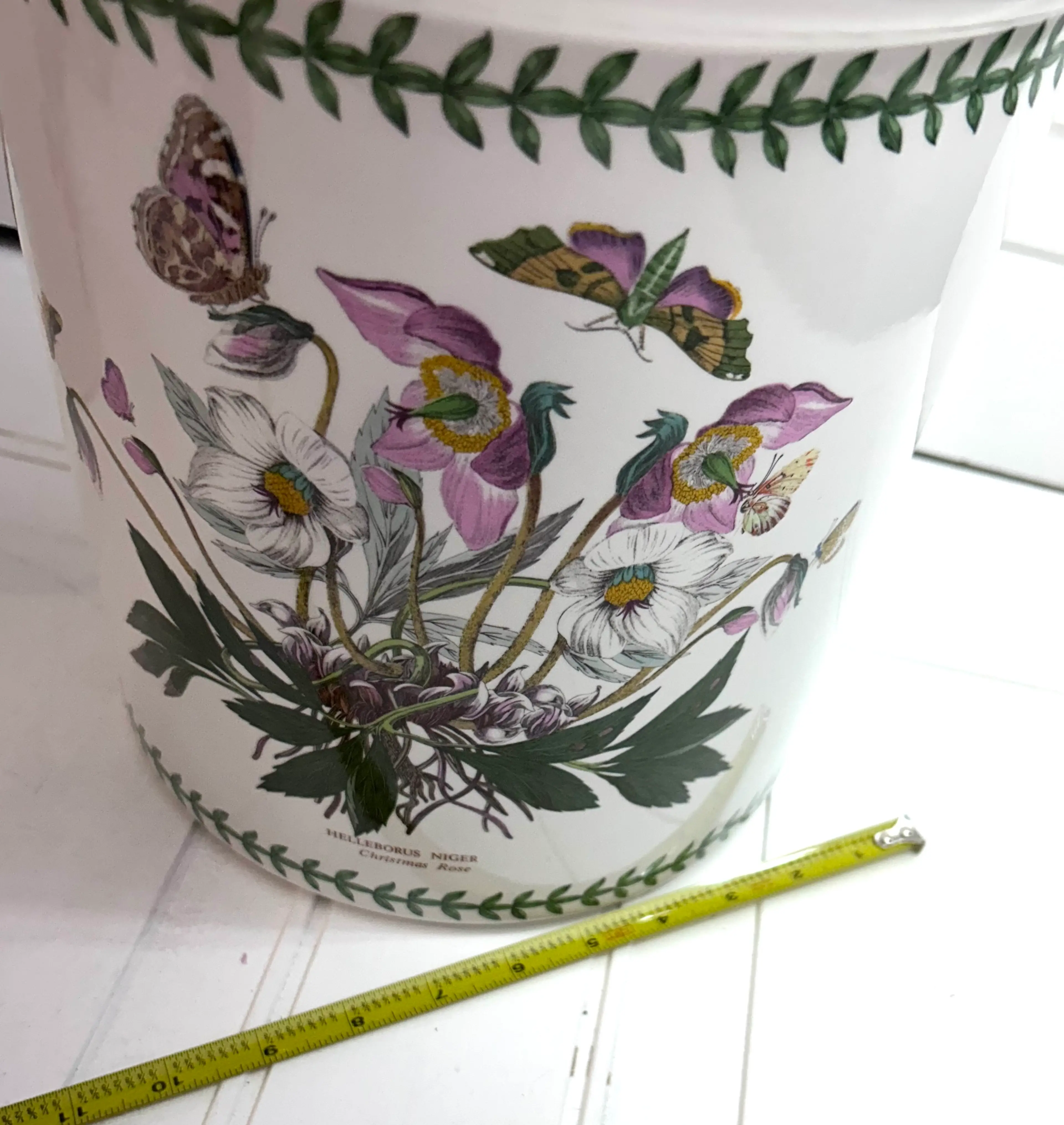 Image 4 of 12