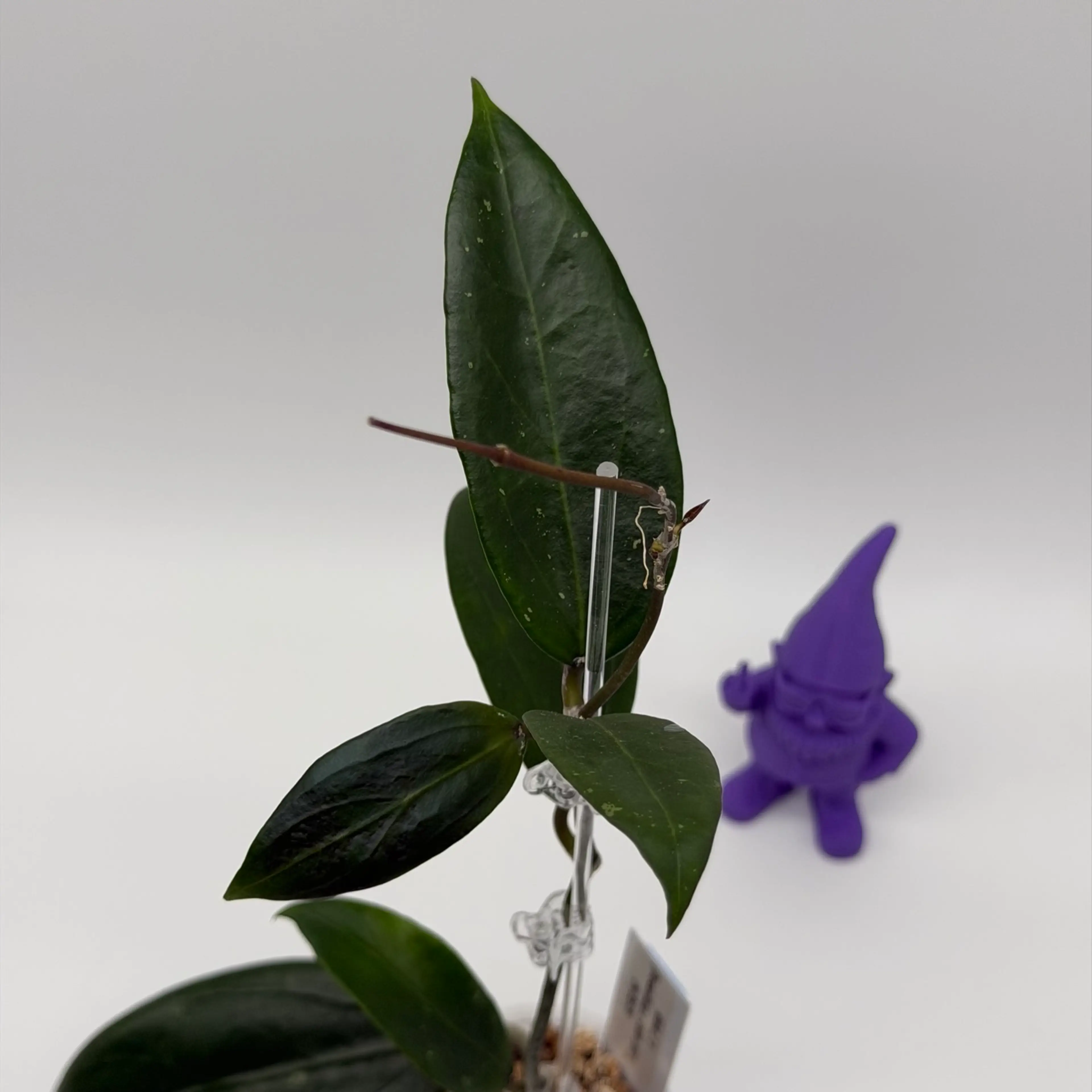 Image 3 of 3