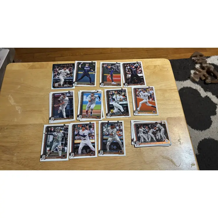 Detroit Tigers Lot