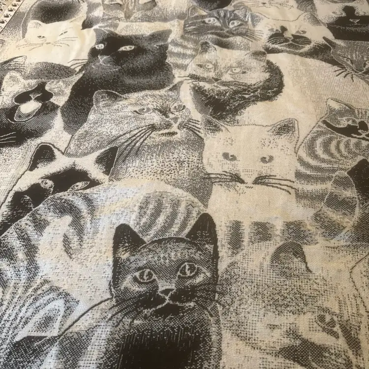 Kitty Cat Throw Blanket Black & White w/ Fringe Trim Edges 56” x 47” Cat Lovers