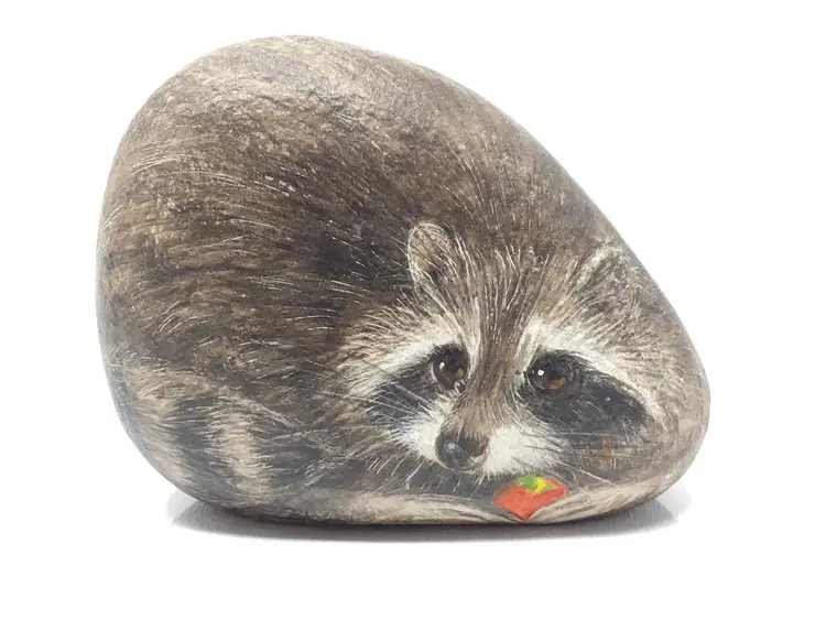 Painted Rock Raccoon by Beverly