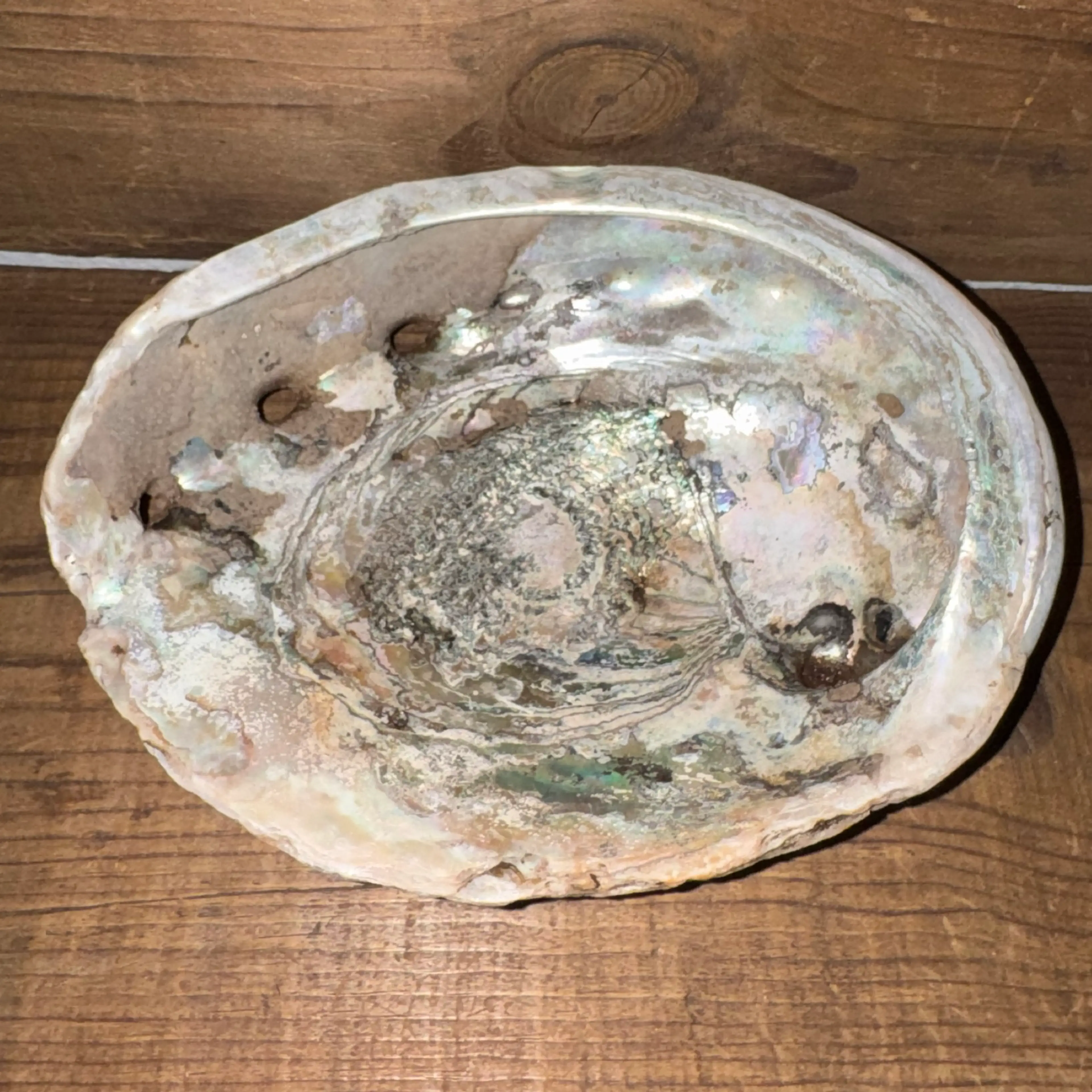 Image 1 of 7