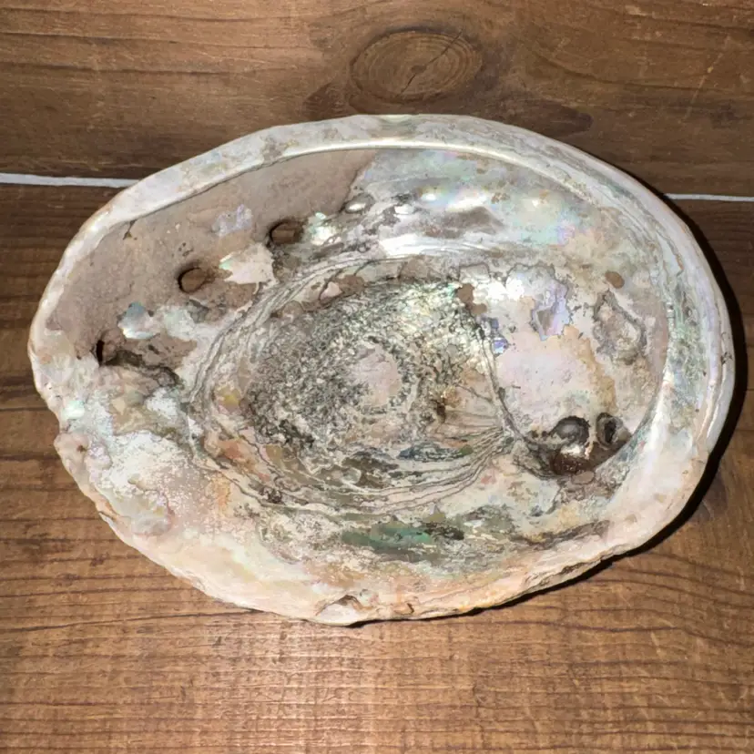 Large Natural Abalone Shell Smudge Bowl, Mother of Pearl