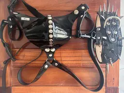 Double-layer silicone panties + Spiked Collar