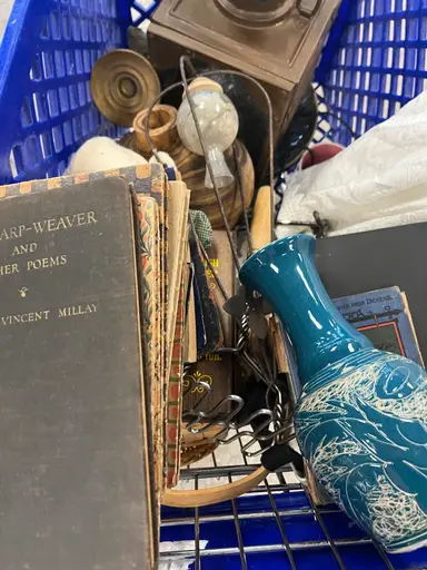 Good Will Bins Mystery Haul!