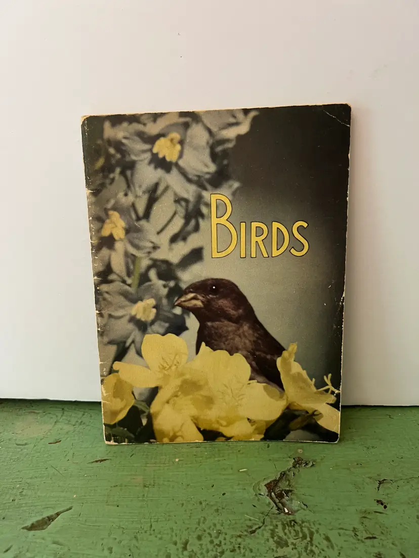 Birds Childrens Book by Bertha Morris Parker. 1948 Softcover Basic Science Education Series
