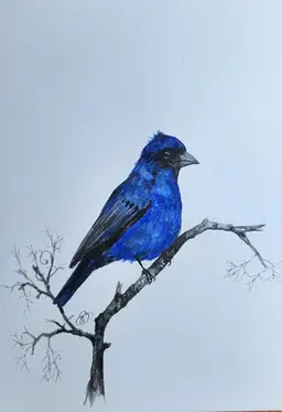 Indigo Bunting Original Watercolor Painting Signed By The Artist 5x7