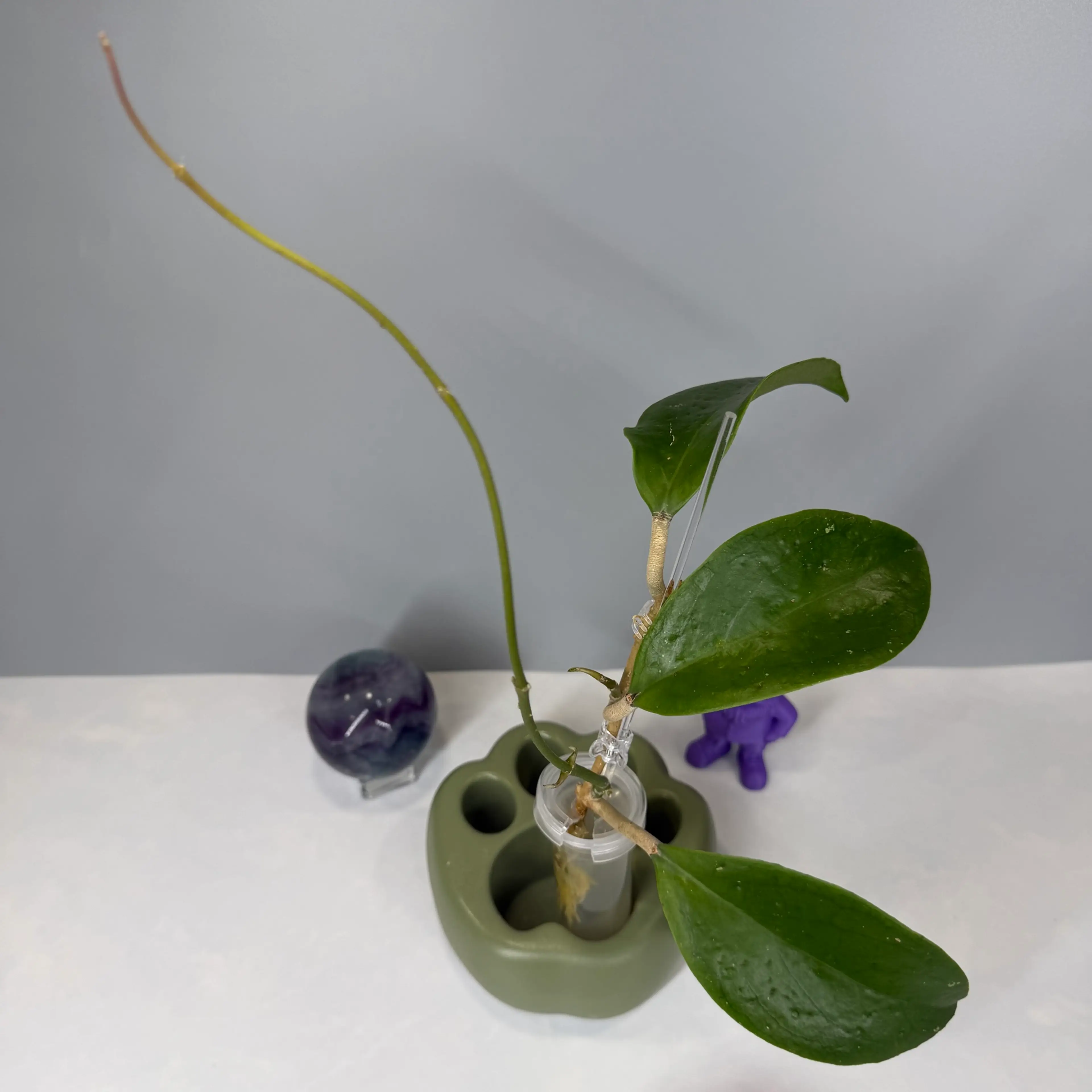 Image 2 of 2