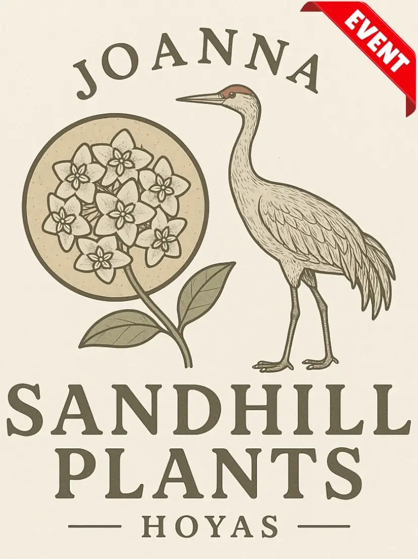 Livestream thumbnail