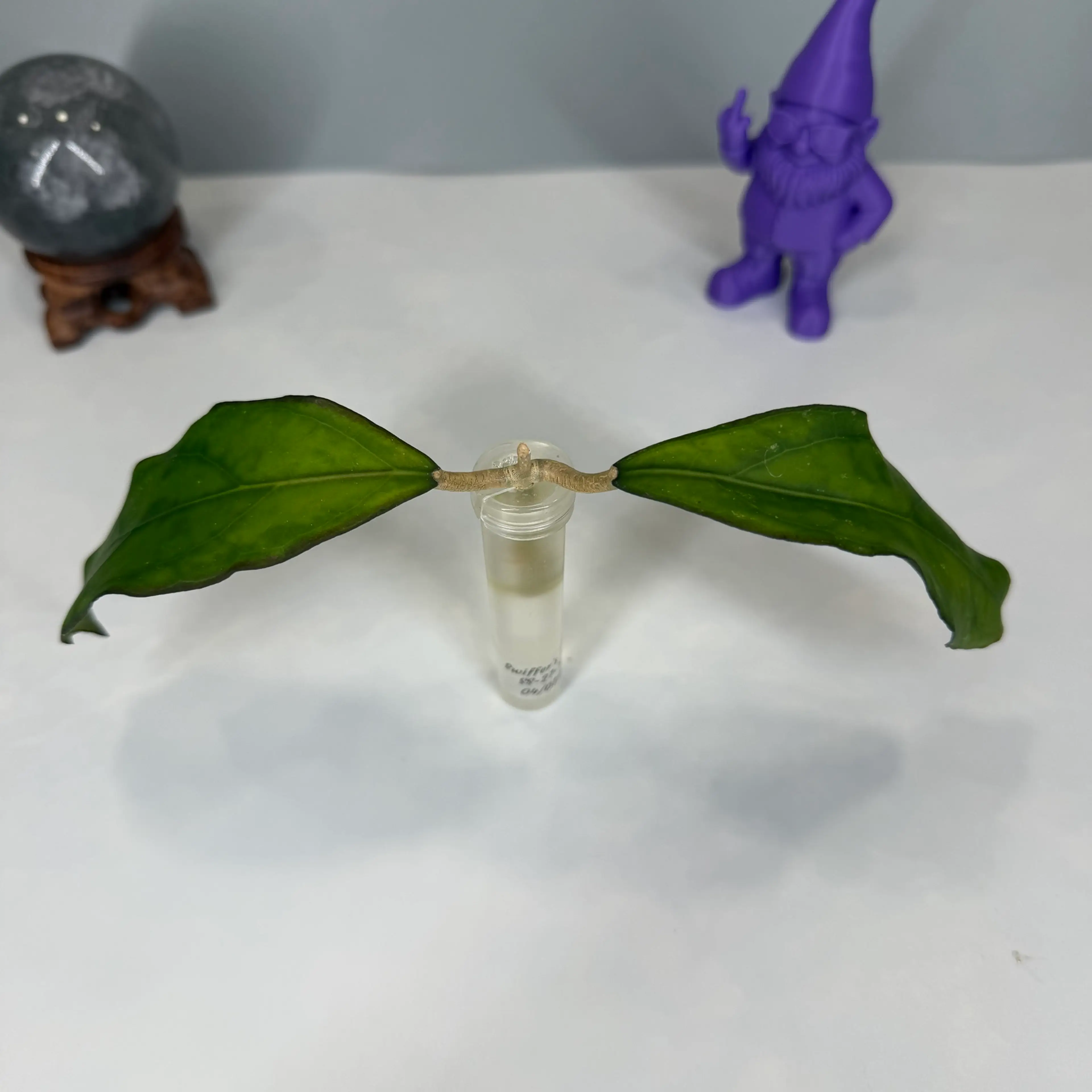 Image 2 of 5