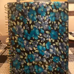 1970’s Folk Dance Pictures and Photo Album California