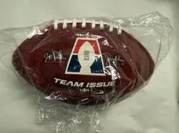 DEFUNCT AF1 Arena Football Team Issue Salina Liberty Leather Game Ball