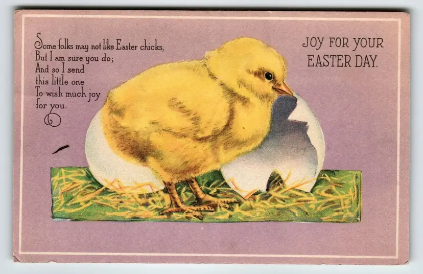 Easter Postcard Baby Chick Vintage Greetings Cracked Egg Joy For Your Day