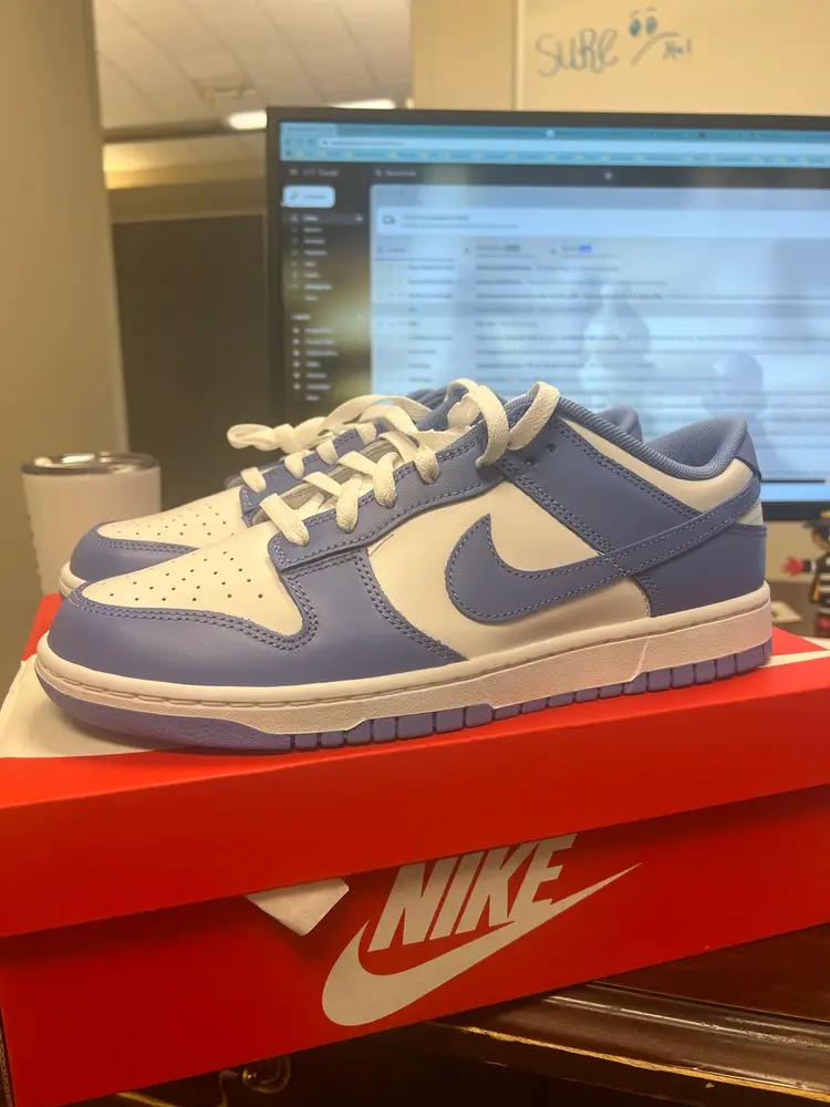 Nike Dunk Low Polar Blue