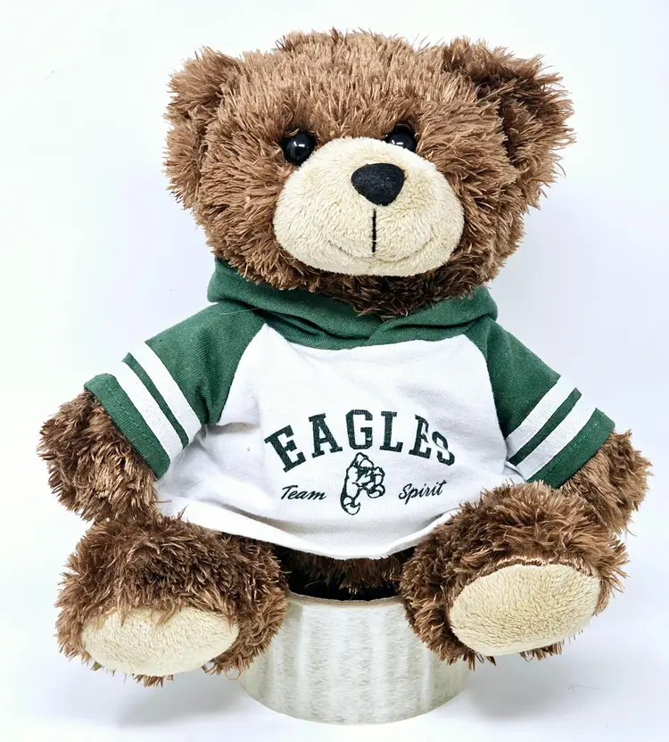 Philadelphia Eagles NFL Plush Bear with Hoodie My Town Kids VG Superbowl Ready